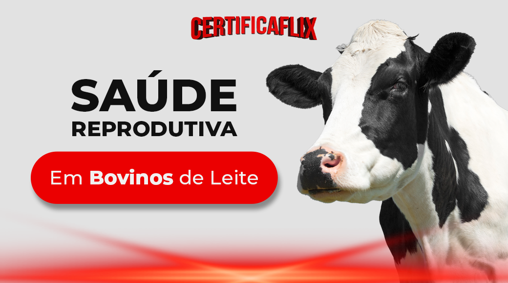 Saúde Reprodutiva em Bovinos de Leite