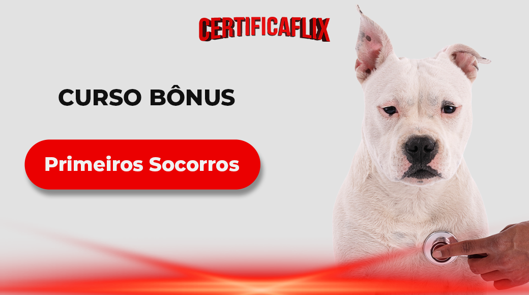 Primeiros Socorros · Curso Bônus
